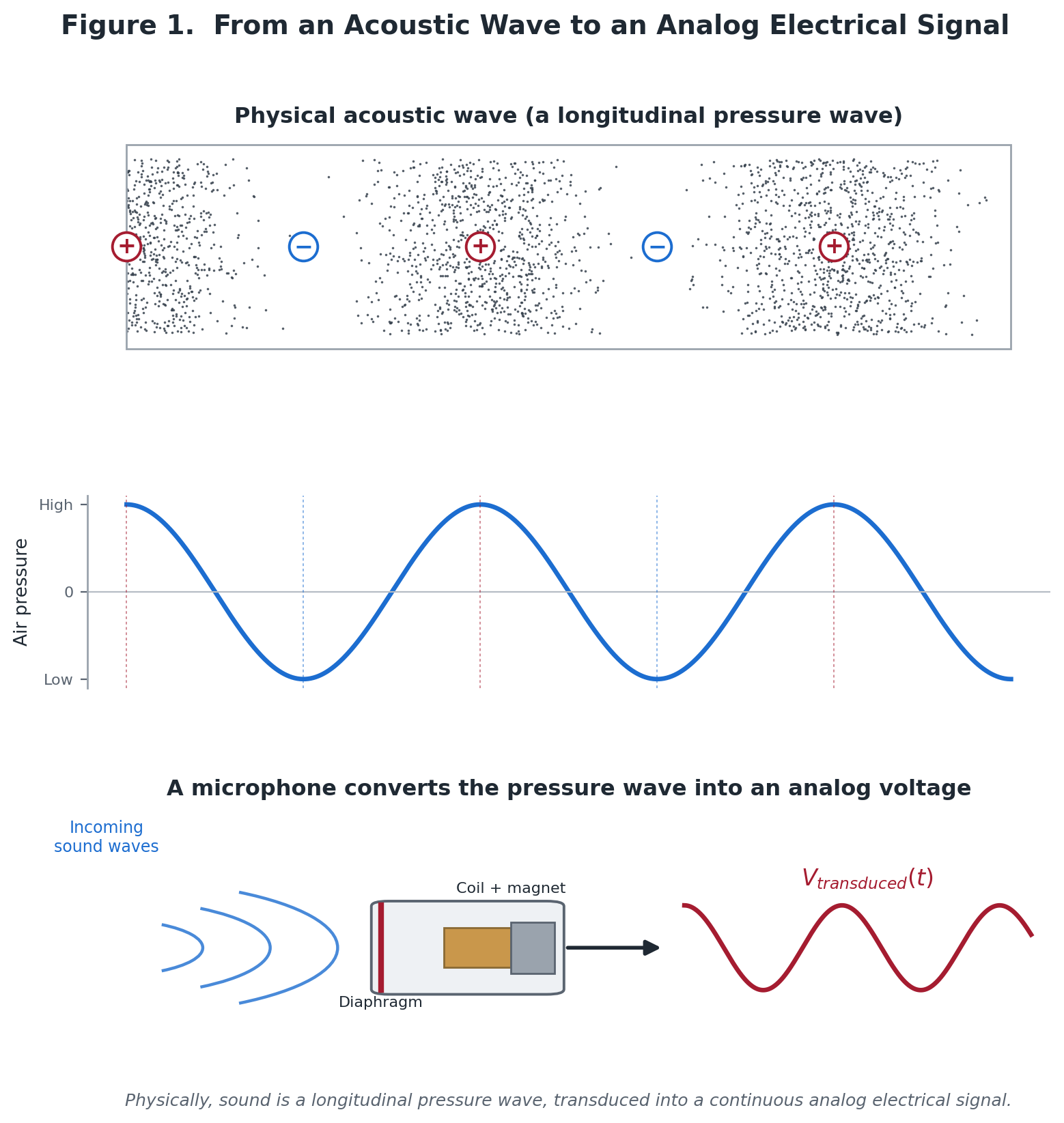 Mechanical and electrical transduction of a sound wave