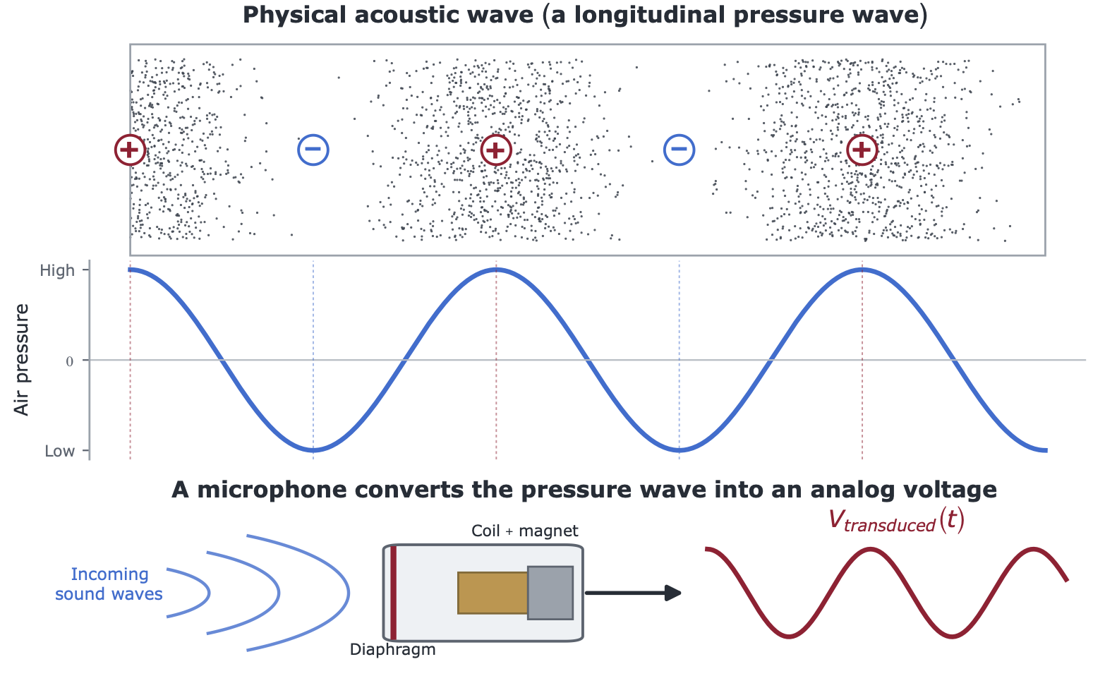 Mechanical and electrical transduction of a sound wave