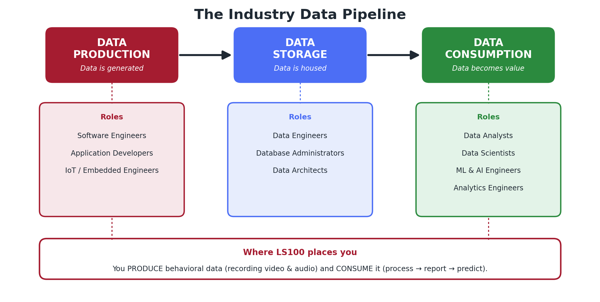 Production to Storage to Consumption, with associated roles and where LS100 fits.